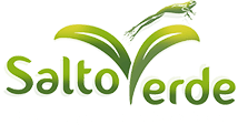 Salto-Verde-Sustentable-Logo_B1